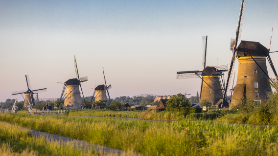 1-day tour to Markthal, Old Harbour & Kinderdijk Windmills