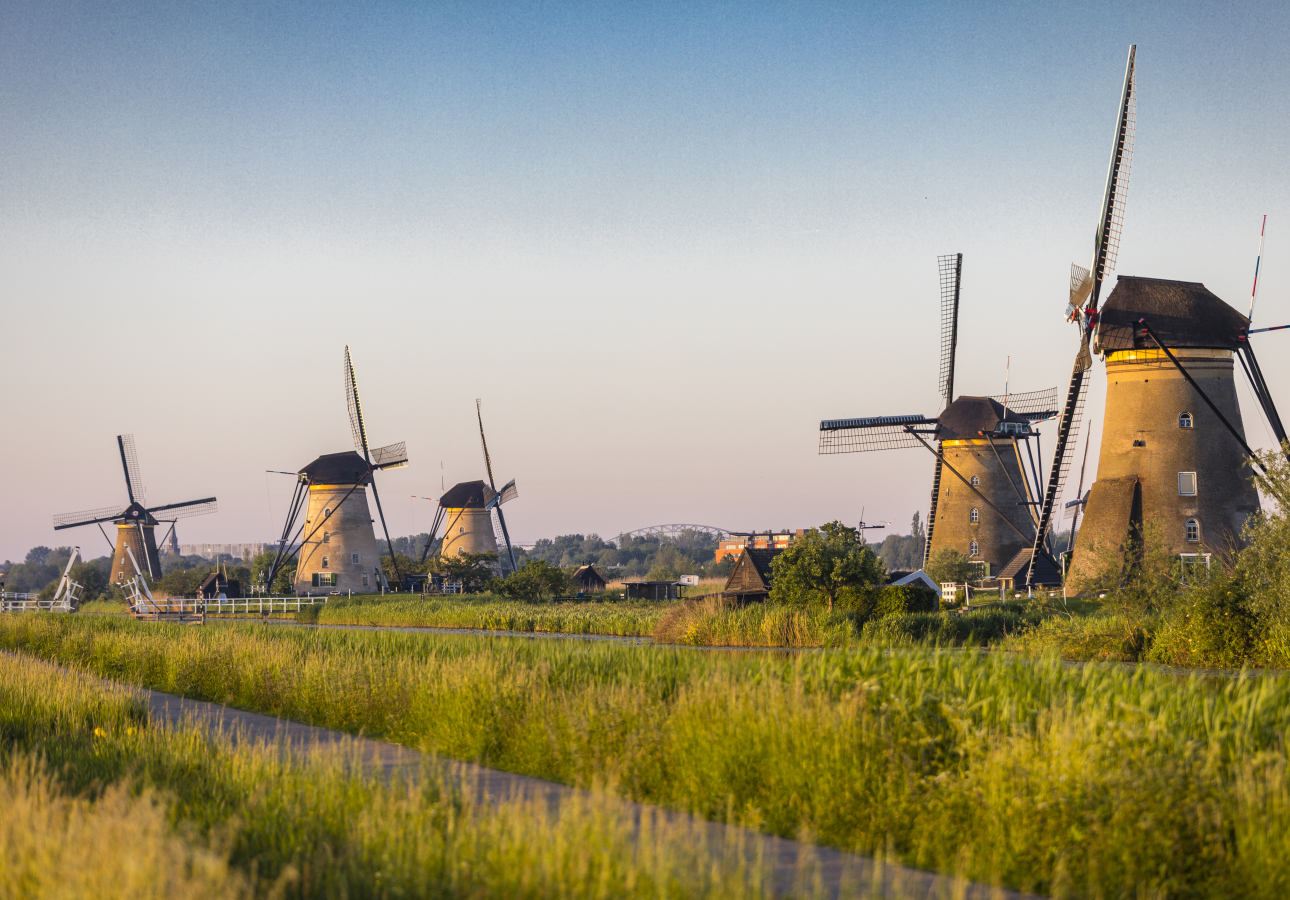 1-day tour to Markthal, Old Harbour & Kinderdijk Windmills