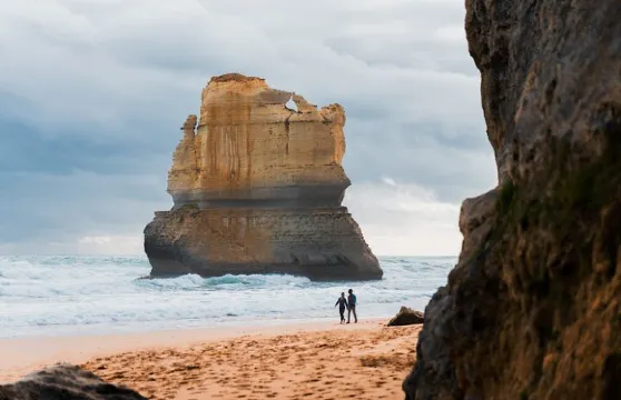 大洋路十二門徒巖及雨林漫步連早茶