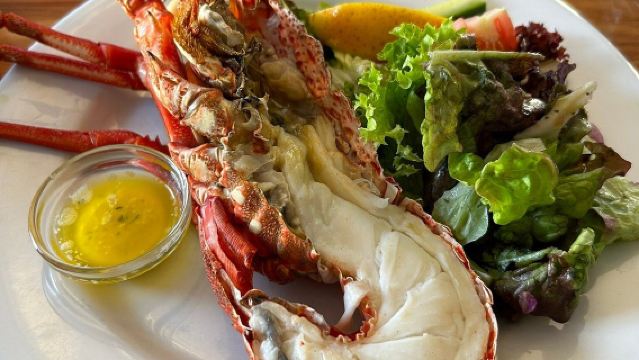 뉴질랜드 카이코라 The Pier Hotel 인기 레스토랑 특색 랍스터 식사