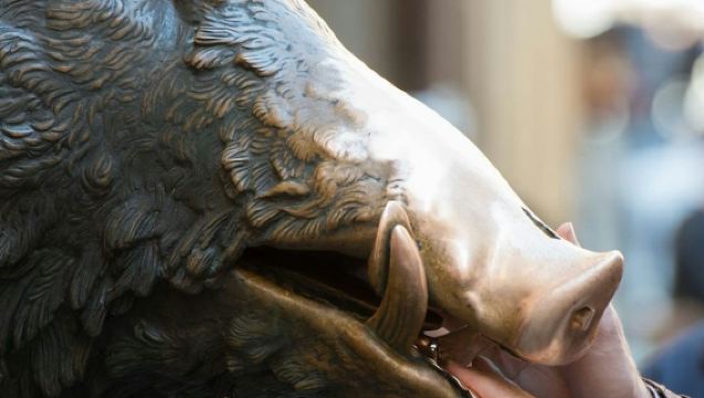 Galleria dell'Accademia: Schnelleinlass + Spaziergang zur Ponte Vecchio