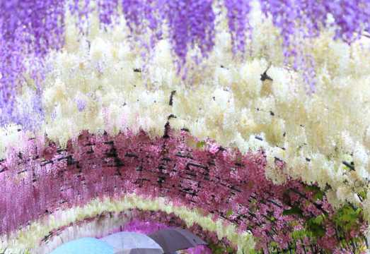1-day tour from Fukuoka: Kawachi Fujien Flower Viewing + Kokura Castle Ruins Exploration + Outlet Shopping & Cherry Blossom Appreciation