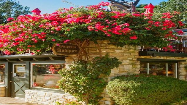 美國三藩市+17裏灣風景線+圓石灘一日遊/行程可調-可定制