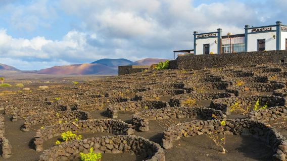 Lanzarote: Guidad tur från Fuerteventura + vinprovning