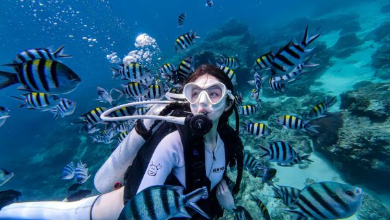 Perjalanan Laut Semporna ke Pulau Mataking | Menyelam 1-ke-1 dengan Video & Foto Bawah Air Percuma