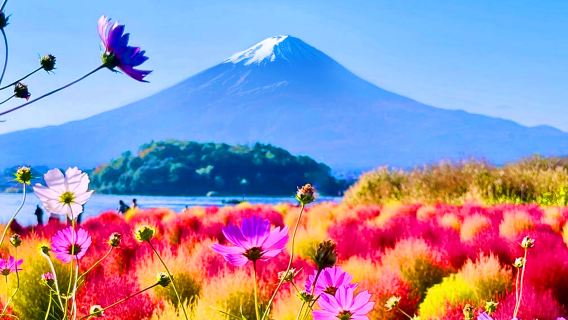 [Pontos Turísticos Populares] Passeio de um dia pelos pontos famosos do Instagram no Monte Fuji: Cidade Escada para o Céu e Lago Kawaguchi