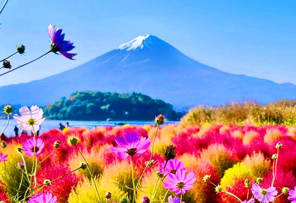 Mt. Fuji Small Group Tour (9 people) with Pickup and Drop-off