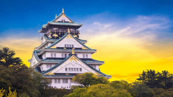 All of Japan | Travel local guide and guide · Business interpretation · Exhibition interpretation
