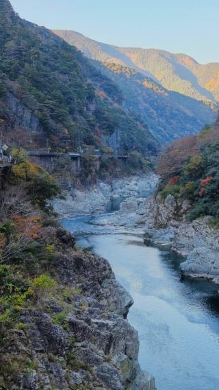 In-depth tour of Tokushima hidden gems | Naruto Whirlpools + Iya Valley Vine Bridge + Oboke · Welcome to inquire about customization