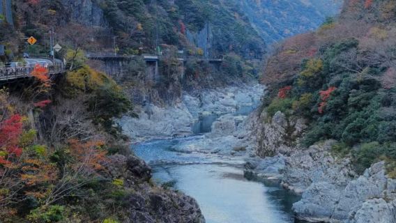 德島秘境深度遊｜鳴門渦流+祖谷葛藤橋+大步危・歡迎查詢定制