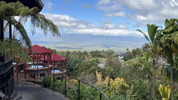 Hawaii Maui Matahari Terbenam di Gunung Berapi Haleakala + Kawasan Pedalaman Kula - Sewaan Peribadi - Pilihan Terbaik