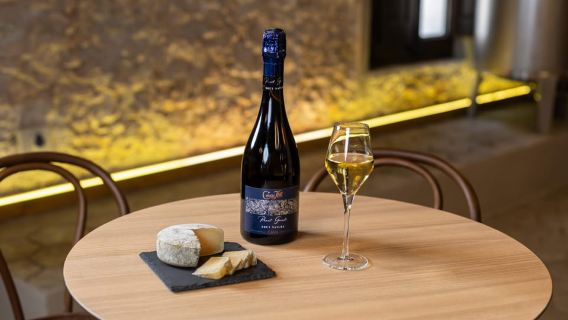 Barcelona: Cavas Hill - Winery Tour & Cheese Tasting
