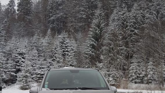 Bucharest:Snowmobile Carpathian's Mountains & Cable Car Ride