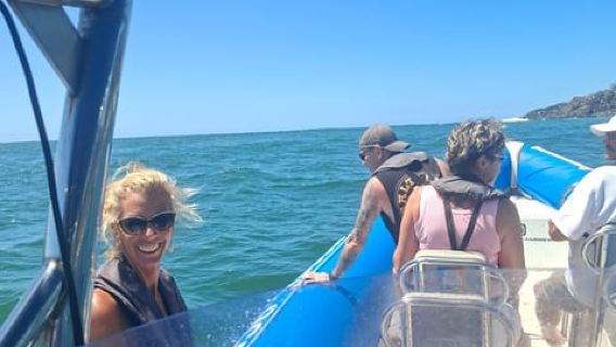 Noosa: Noosa Whale Watching Tour