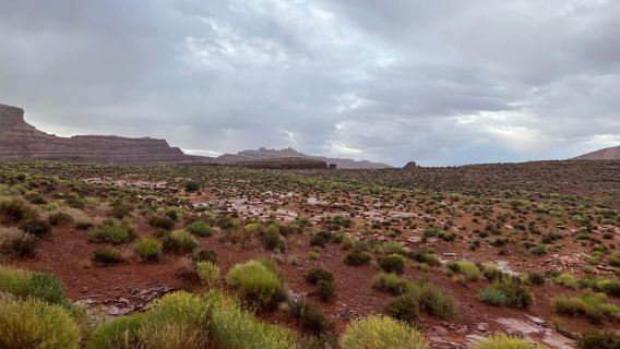 Moab: 3-Hour Scenic 4x4 Off-Road Adventure