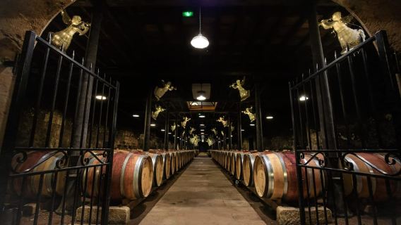 Le Hameau Duboeuf: The 1st Vine and Wine Theme Park Tour