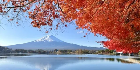 東京富士山一日遊:奧萊暢購&雙湖賞景&日川時計店|可選9人團