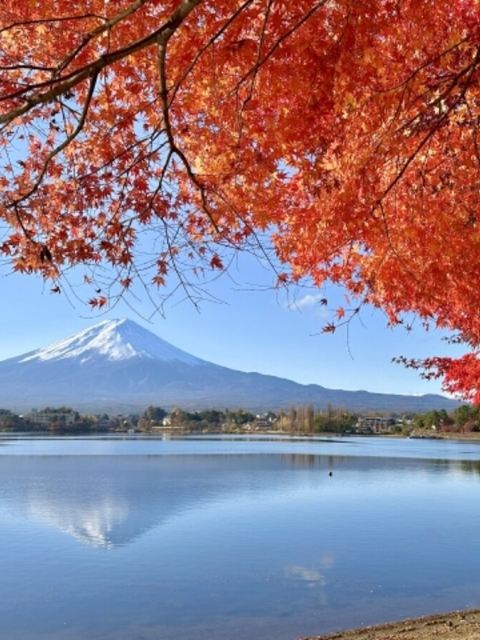 東京富士山一日遊:奧萊暢購&雙湖賞景&日川時計店|可選9人團