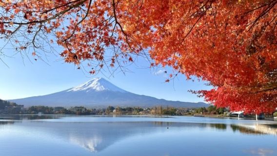 東京富士山一日遊：奧萊暢購&雙湖賞景&日川時計店|可選9人團
