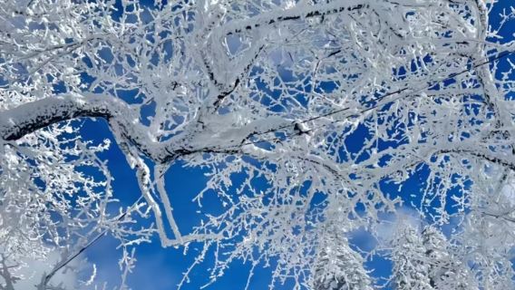 Harbin Yabuli Ski Resort + China Snow Town + Datudingzi Mountain + Ice and Snow Gallery 1-day tour
