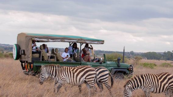 Safari-Tour; Nairobi-Nationalpark