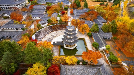 Gyeongju Autumn Foliage One day Tour (Depart from Busan)