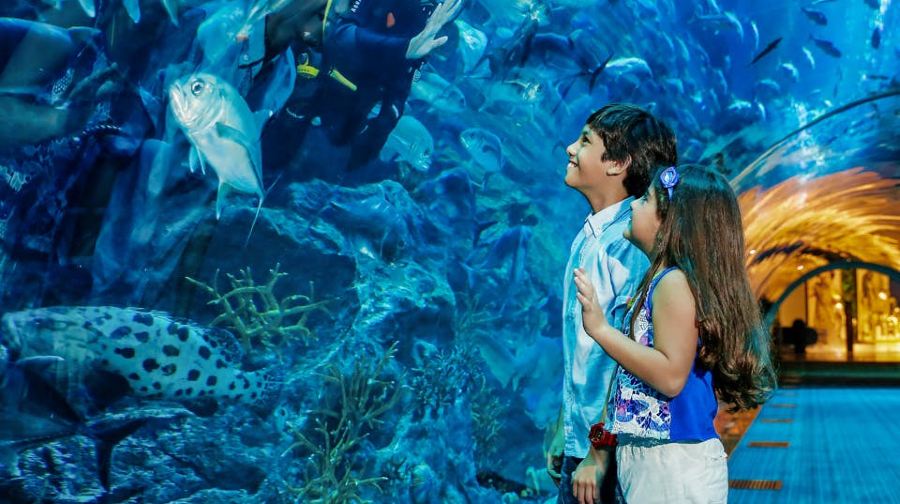 杜拜水族館和水下動物園