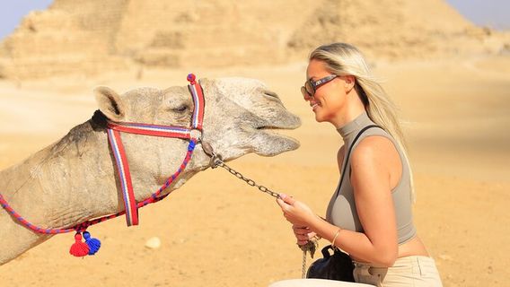 CairoTours