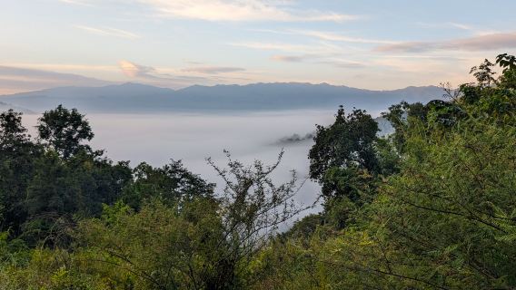 Chiang MaiTours