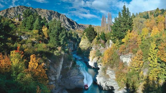 QueenstownTours