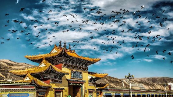 西寧+隆務寺+吾屯下寺+郭麻日古堡(真純玩|不玩花招|服務好)