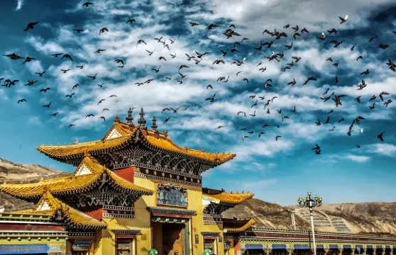 西寧+隆務寺+吾屯下寺+郭麻日古堡(真純玩|無套路|服務優質)