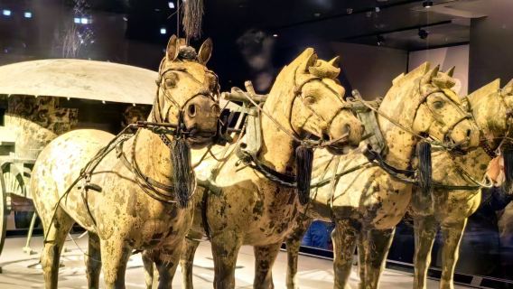 Prajurit Terakota Xi'an + Istana Huaqing + Pagoda Angsa Liar Besar + Tembok Kota pemandu wisata Multibahasa (Inggris, Rusia, Prancis, Thailand) C