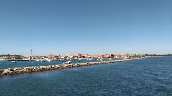 AveiroTours