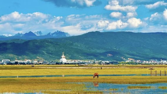 Shangri-La: Napa-See + Benzilan + Mondbiegung des Jinsha-Flusses + Baima-Schneeberg (einstellbares G)