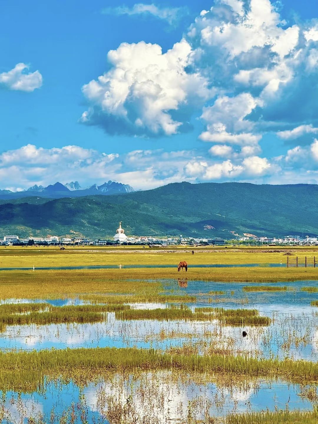 Shangri-La: Adjustable attractions include Napahai Lake, Benzilan Town, Jinsha River Moon Bend, and Baima Snow Mountain