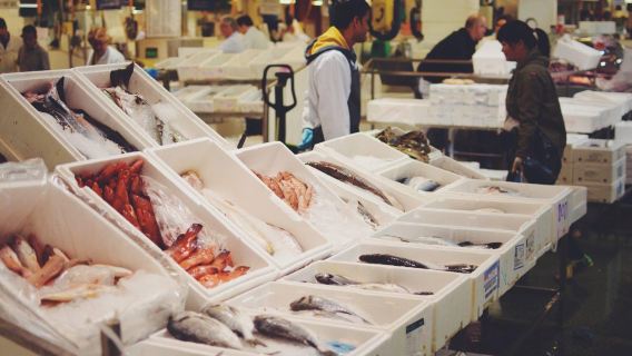 From Fujairah Private Tour: Ras Al Khaimah City