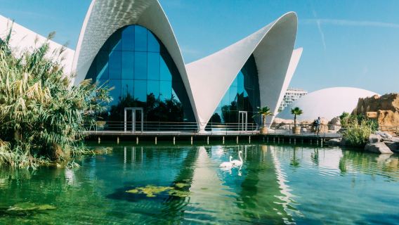 Oceanogràfic de Valencia: Entry Ticket