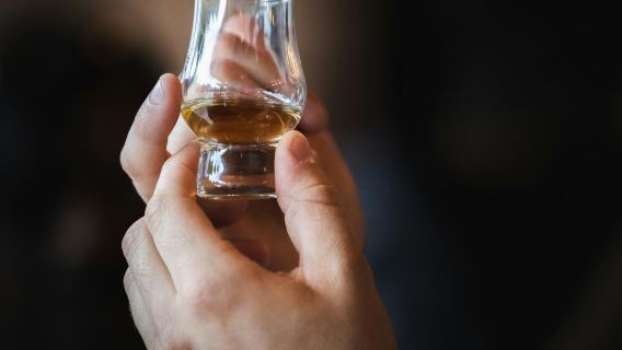 Moray Coast, Wildlife, and Speyside Whisky Explorer from Inverness