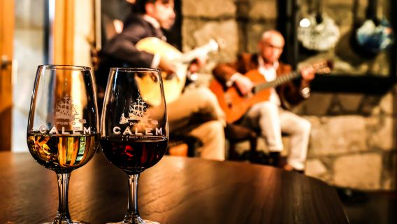 Cálem Caves: Guided Tour with Fado Show and Wine