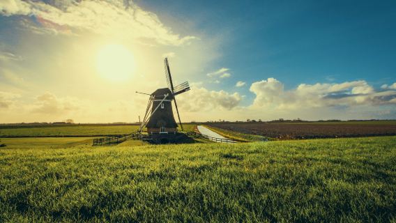 Lisse: Windmill and Lake Cruise from Katwijk
