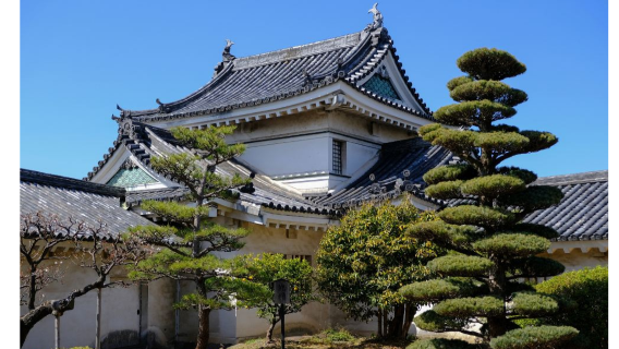和歌山市日遊