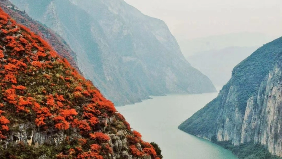 奉節白帝城+三峽之巔一日遊包車