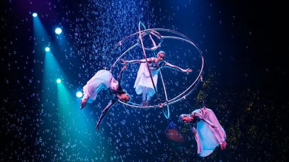 Công viên Safari Chimelong Quảng Châu + Rạp xiếc quốc tế Chimelong (Bao gồm xe đưa đón thẳng một chiều)