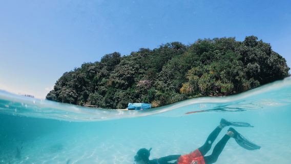 Sabah Kota Kinabalu Moonbay Island Snorkeling/Diving Shared Day Tour