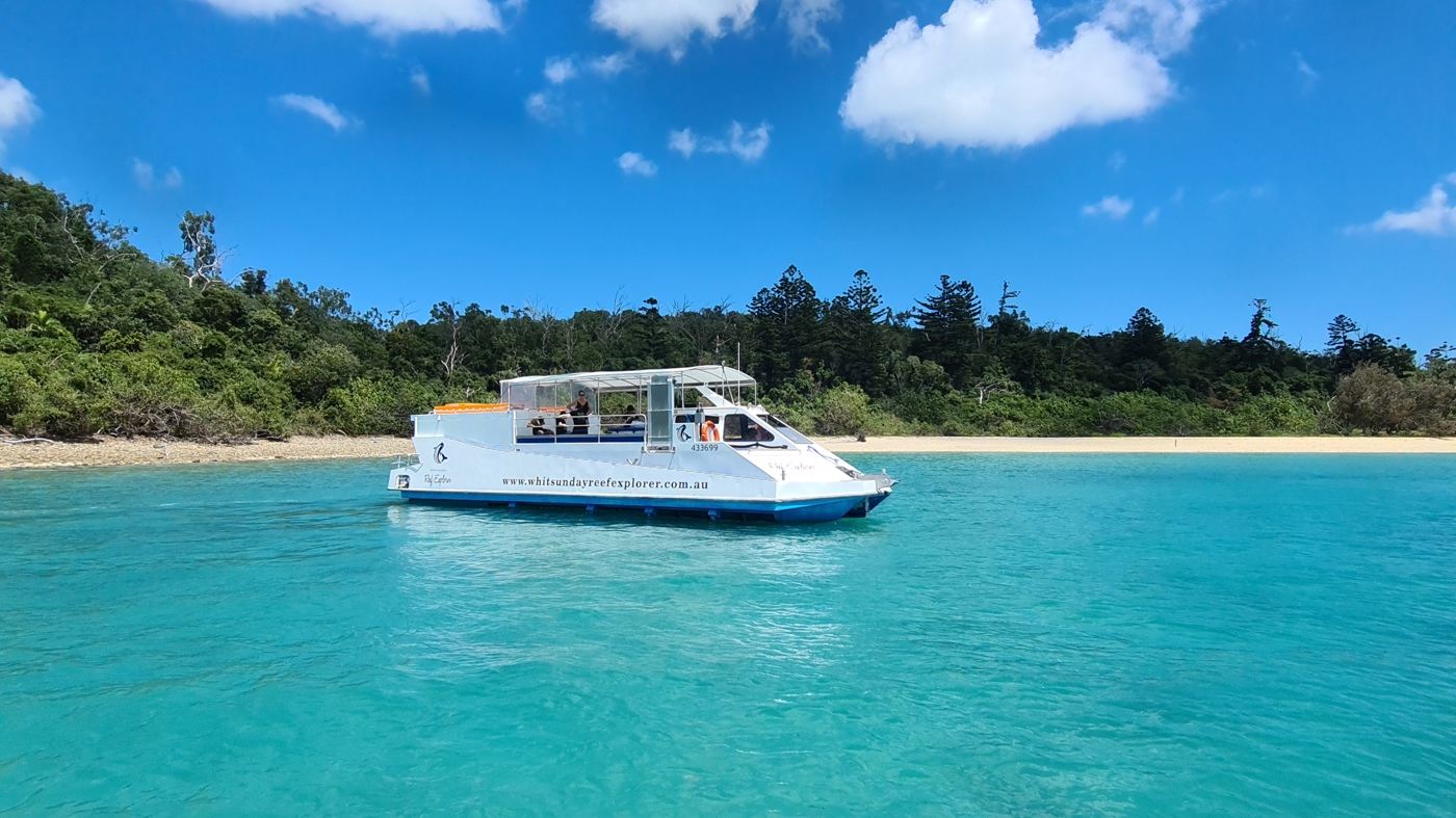 1-hour Whitsunday Islands and Hamilton Island Sightseeing Cruise Exploration (Glass Bottom Boat)