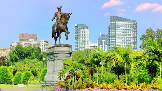 Visite du cinéma et de la télévision à Boston : une retraite d'une demi-journée pour un esprit serein