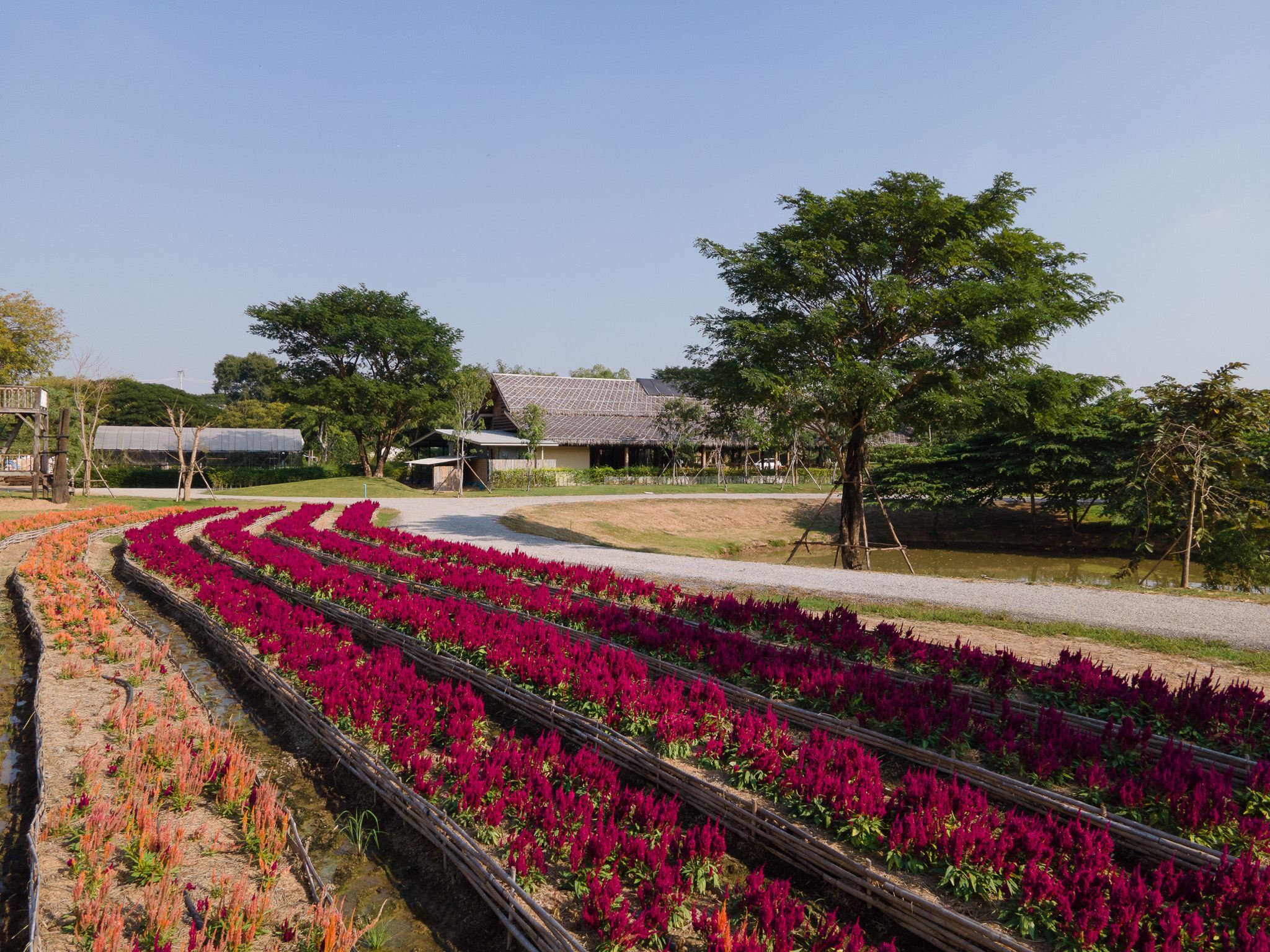 曼谷出發丨大城咖啡館、寺廟和畫廊船屋之旅