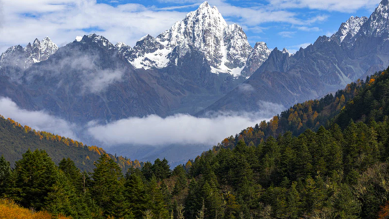 Xe thuê xe riêng Zigong, hướng dẫn viên, phiên dịch viên, hộ tống địa phương, đón khách, triển lãm du lịch, kiểm tra doanh nghiệp, hộ tống y tế