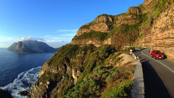 Cape Town: Cape Peninsula Private Half-Day Tour